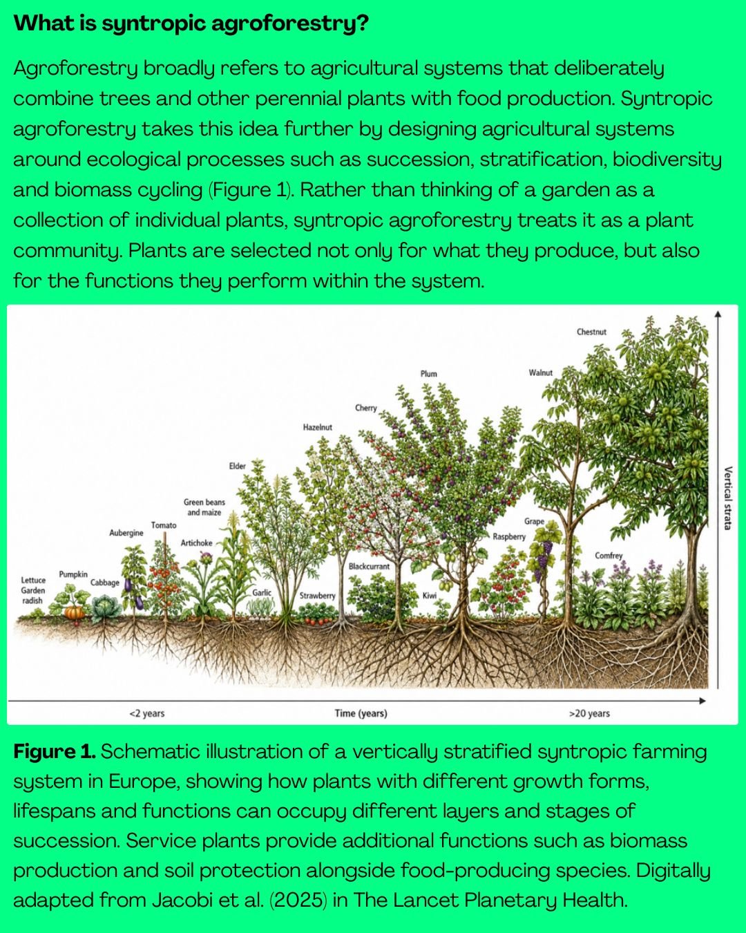 Digitally adapted from Jacobi et al. (2025) in The Lancet Planetary Health.