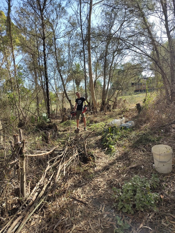 People clearing vegetation in a riparian area with piles of cut material and a bucket.