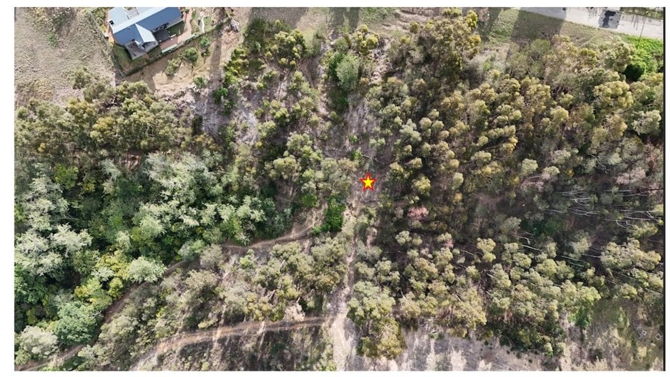 Aerial/drone view of a valley densely covered in trees with a marked point.