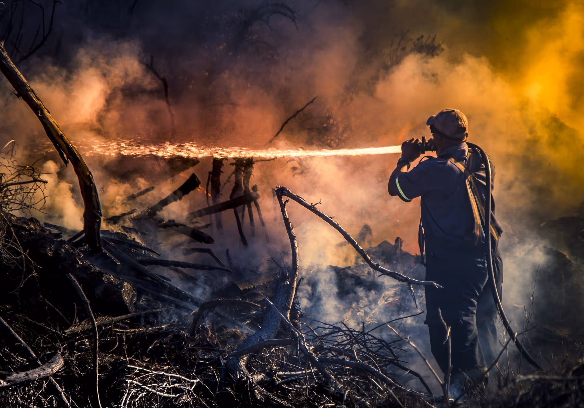 Living with Wildfire: Rescue Efforts at the Grootvadersbosch-Tradouw Pass Fire